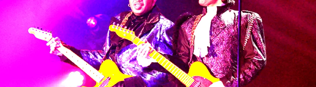 Purple Reign - Prince Tribute